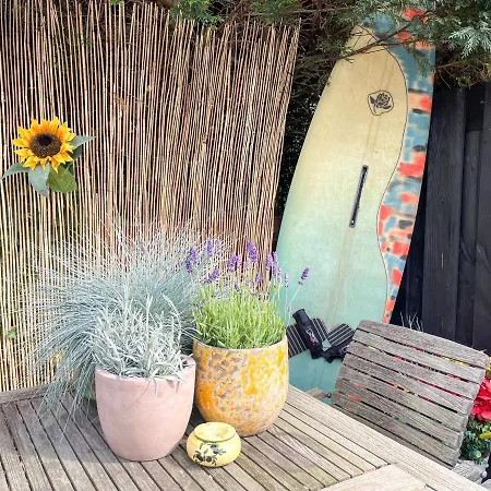 Tiny Seashell - House By Fre * Zandvoort